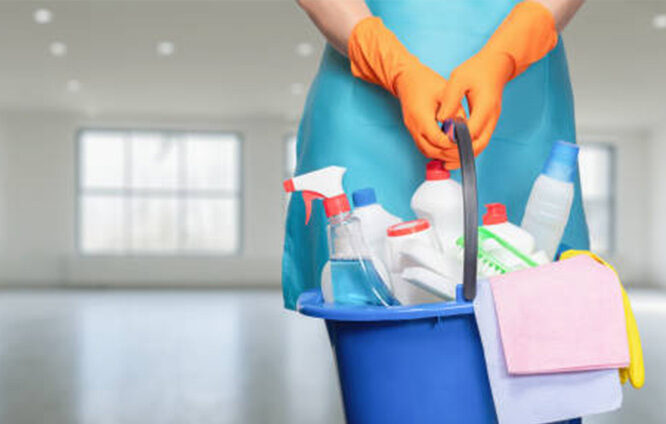 domestic_Worker